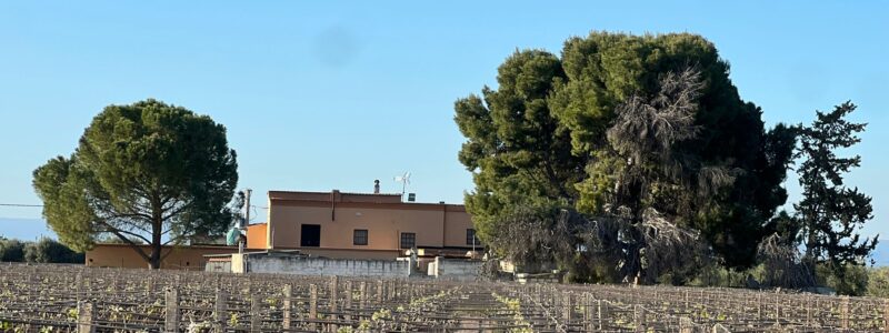 Azienda Agricola Mastricci