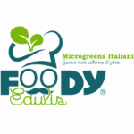 Foody Edulis