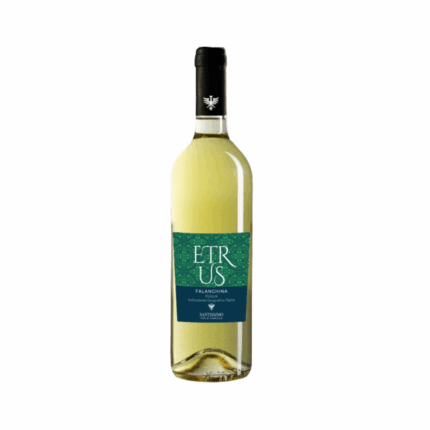 etrus vino falanghina