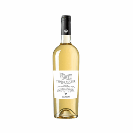 terra mater vino falanghina