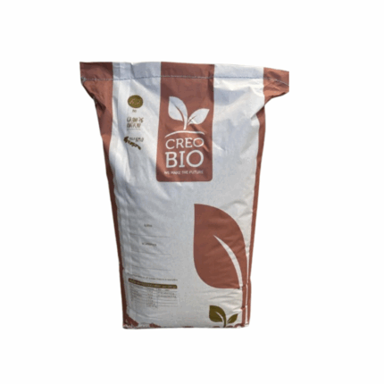Farina Semola Biologica 25kg creobio