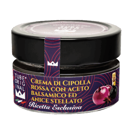 crema di cipolla rossa con aceto balsamico e anice stellato tubeoriginal
